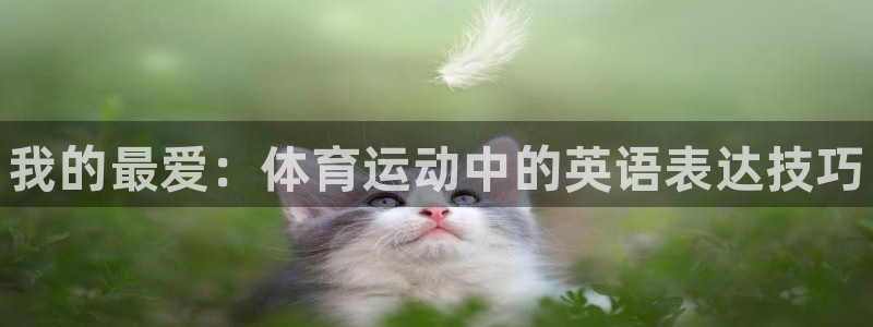 oety欧亿体育官网下载招商电话号码是多少号：我的最爱：体育