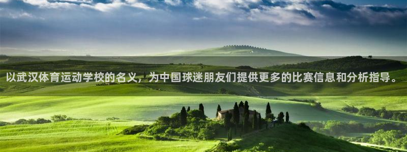 oety欧亿体育官网下载平台假的吗是真的吗吗：以武汉