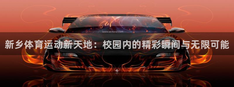 oety欧亿体育官网下载平台注册流程图：新乡体育运动
