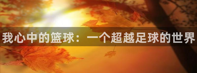 欧亿体育官方正版app新能源：我心中的篮球：一个超越