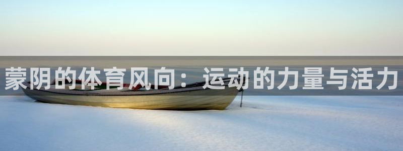 注册欧亿体育官方正版app：蒙阴的体育风向：运动的力