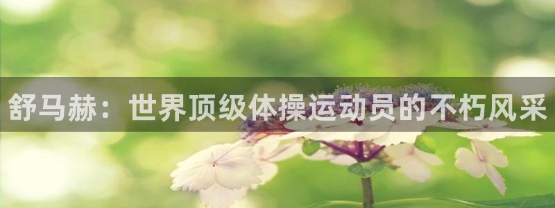 欧亿体育官方正版app新能源：舒马赫：世界顶级体操运
