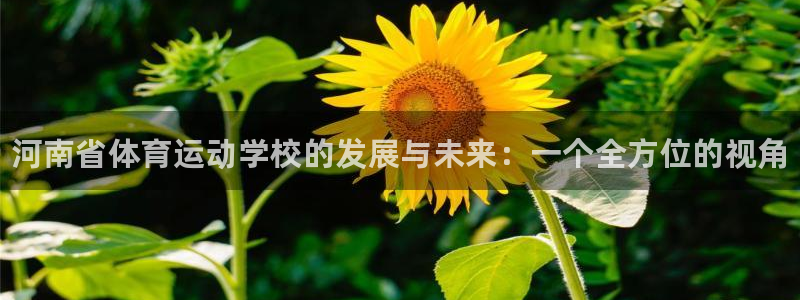 oety欧亿体育官网下载娱乐：河南省体育运动学校的发展与未来