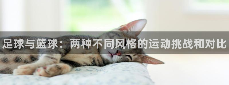 oety欧亿体育官网下载招商电话是多少啊