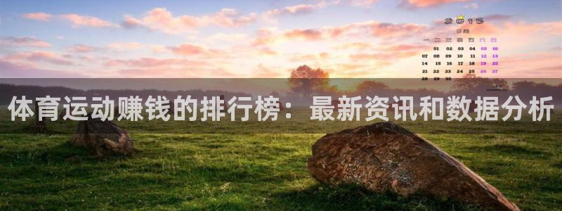oety欧亿体育官网下载平台APP：体育运动赚钱的排行榜：最