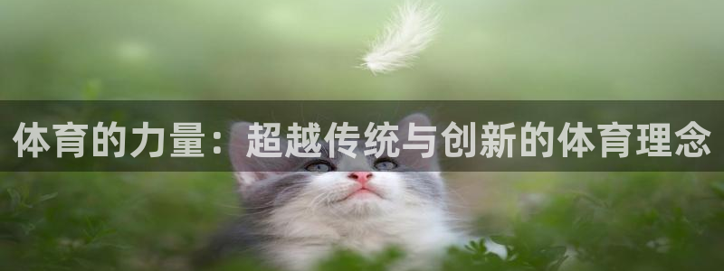 欧亿体育官方正版app代理