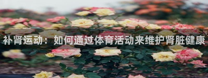 oety欧亿体育官网下载平台注册要钱吗安全吗：补肾运动：如何