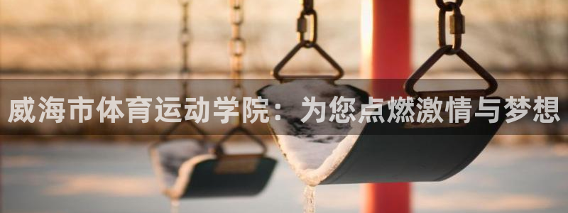 oety欧亿体育官网下载是干嘛的公司：威海市体育运动学院：为