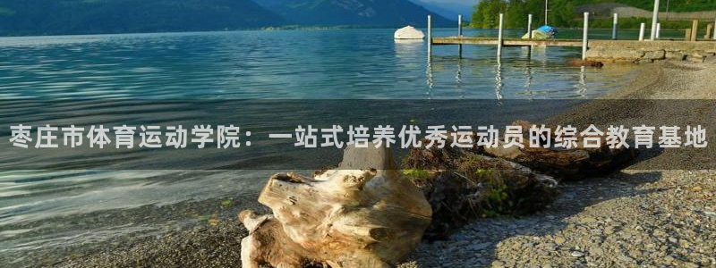 oety欧亿体育官网下载是干嘛的公司：枣庄市体育运动