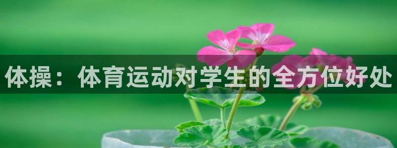 oety欧亿体育官网下载软件：体操：体育运动对学生的