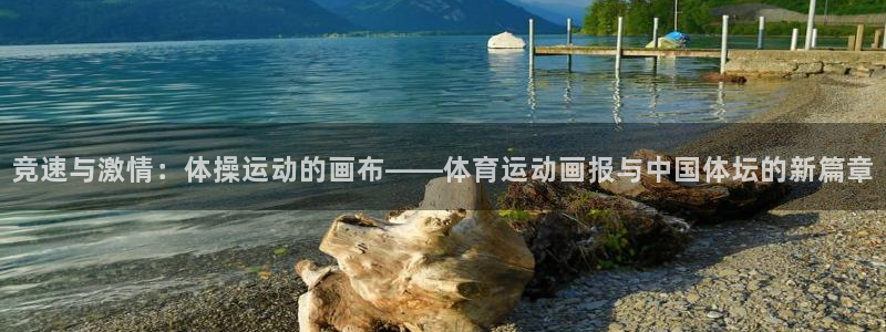 oety欧亿体育官网下载招商电话是多少号码：竞速与激