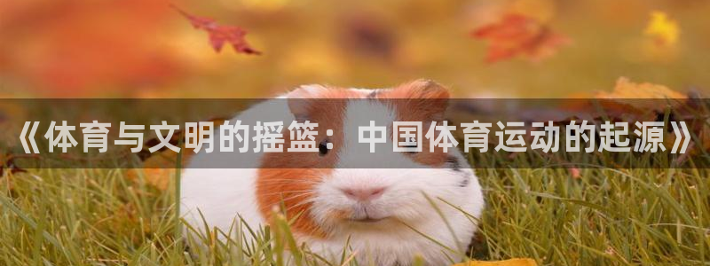 欧亿体育官方正版app集团官网网址