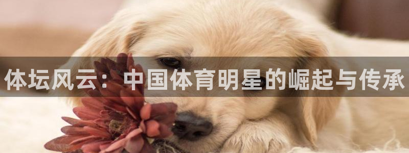 欧亿体育官方正版app集团E.ON：体坛风云：中国体育明星的