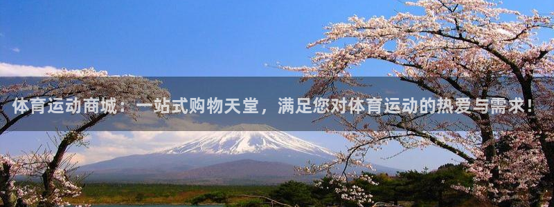 欧亿体育官方正版app集团官网网址：体育运动商城：一站式购物