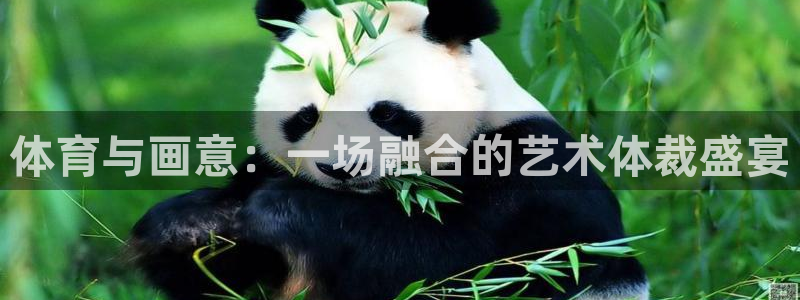 欧亿体育官方正版app开户