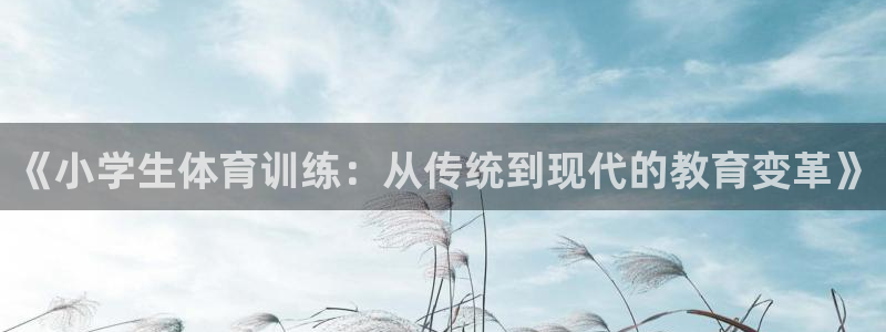 欧亿体育官方正版app集团E.ON