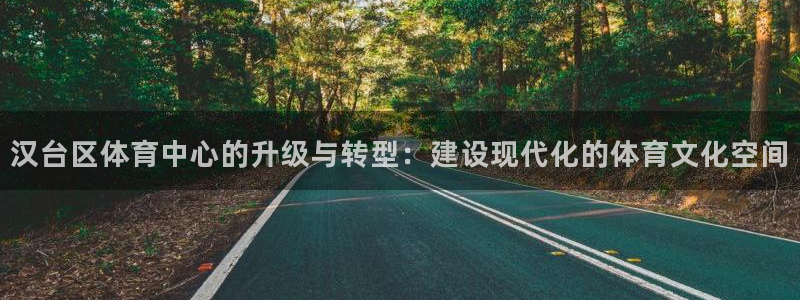 欧亿体育官方正版app科技：汉台区体育中心的升级与转型：建设