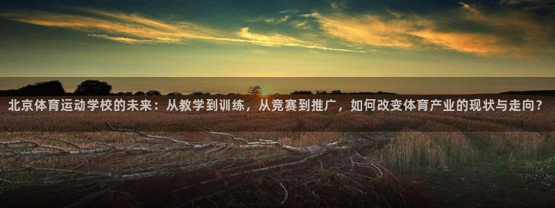 oety欧亿体育官网下载平台是正规平台吗：北京体育运