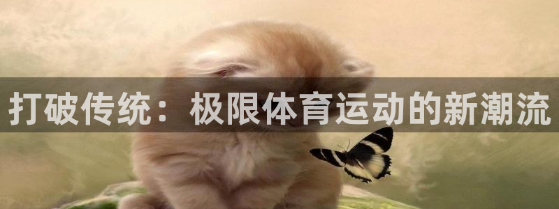 欧亿体育官方正版app新能源：打破传统：极限体育运动