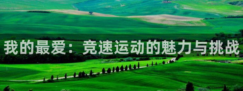 德国欧亿体育官方正版app集团：我的最爱：竞速运动的魅力与挑
