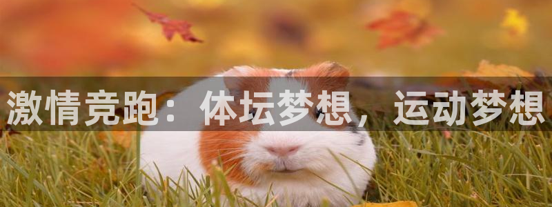 oety欧亿体育官网下载注册：激情竞跑：体坛梦想，运动梦想