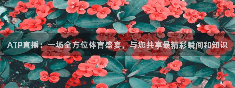 柠檬篮球直播：ATP直播：一场全方位体育盛宴，与您共享最精彩瞬间和知识