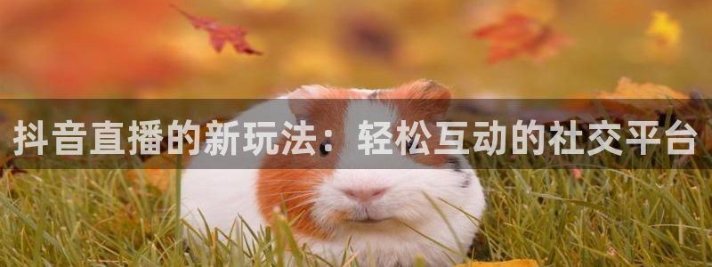 柠檬直播吧足球：抖音直播的新玩法：轻松互动的社交平台