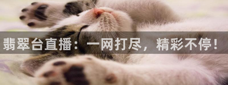 足球比赛直播柠檬：翡翠台直播：一网打尽，精彩不停！