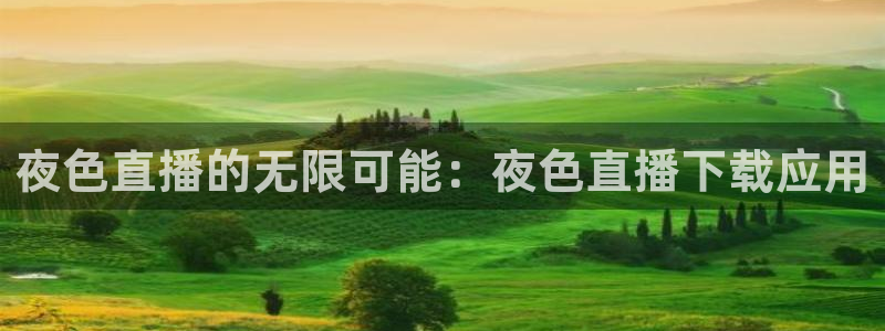 柠檬大秀直播：夜色直播的无限可能：夜色直播下载应用