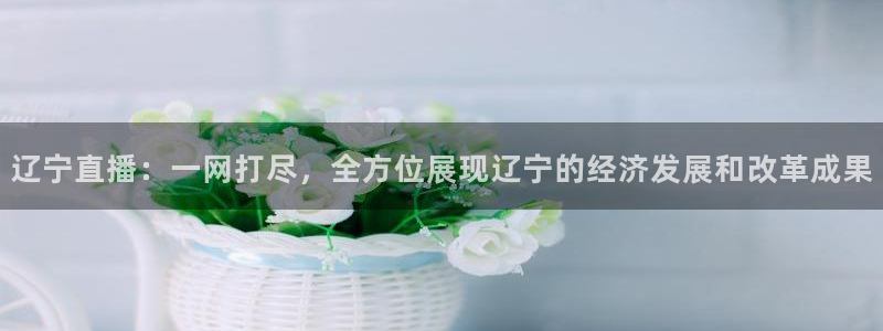 柠檬体育在线直播nba：辽宁直播：一网打尽，全方位展现辽宁的经济发展和改革成果