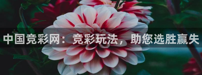 足球直播柠檬体育：中国竞彩网：竞彩玩法，助您选胜赢失