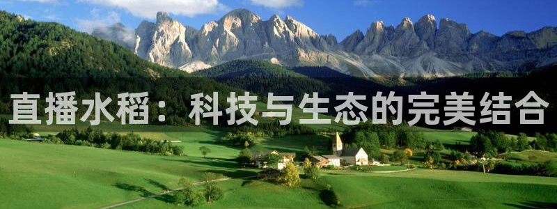 足球比赛直播在线观看柠檬直播：直播水稻：科技与生态的完美结合