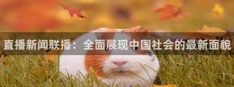 柠檬体育nba直播：直播新闻联播：全面展现中国社会的最新面貌