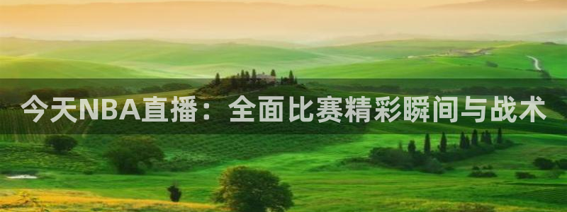 柠檬体育网：今天NBA直播：全面比赛精彩瞬间与战术