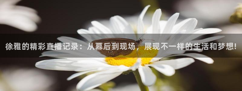 柠檬足球比赛直播：徐雅的精彩直播记录：从幕后到现场，展现不一样的生活和梦想!