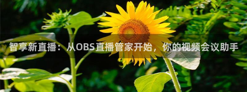 柠檬直播吧足球：智享新直播：从OBS直播管家开始，你的视频会议助手