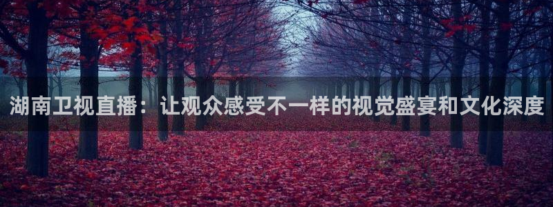 柠檬直播体育nba比赛：湖南卫视直播：让观众感受不一样的视觉盛宴和文化深度