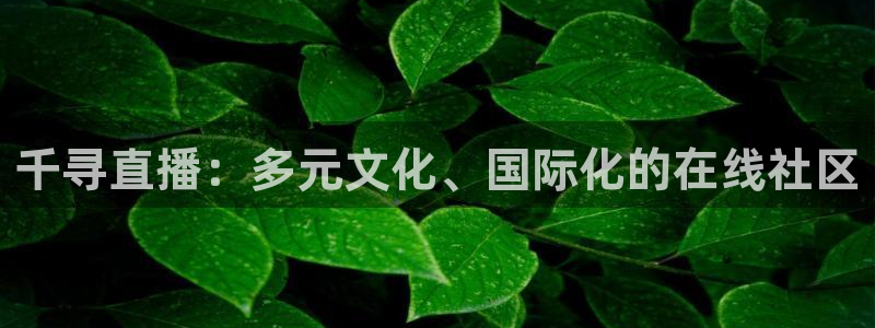 柠檬体育比赛直播：千寻直播：多元文化、国际化的在线社区