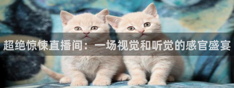 柠檬足球免费直播：超绝惊悚直播间：一场视觉和听觉的感官盛宴