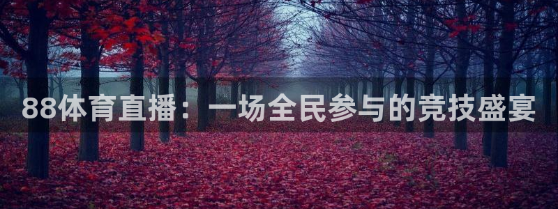 柠檬直播 篮球：88体育直播：一场全民参与的竞技盛宴